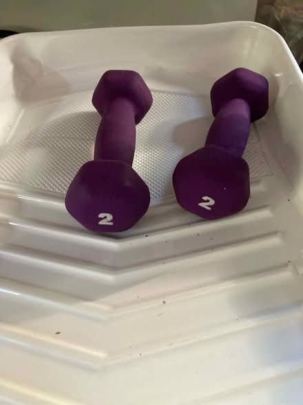 Photo of free 2 Lbs Hand Weights (Woburn) #1