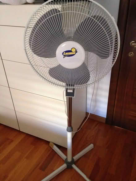Photo of Fan (Welwyn Garden City AL7) #1
