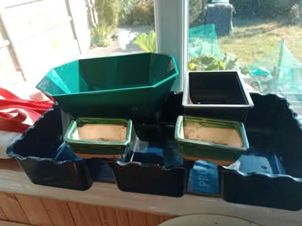 Photo of free Bonsai pots (Penkridge ST19 5) #2