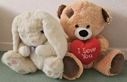Photo of free Soft Toys + Dolls (Dun Laoghaire) #2
