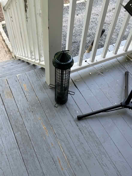 Photo of free bird feeder (209 Moore street Princeton.) #1
