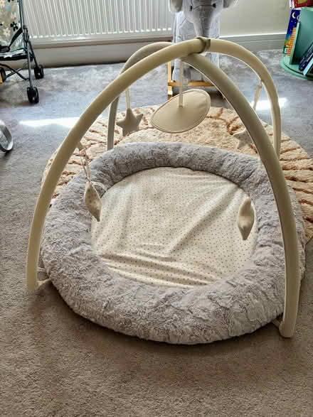 Photo of free Mamas and papas baby play mat (Totley S17) #2