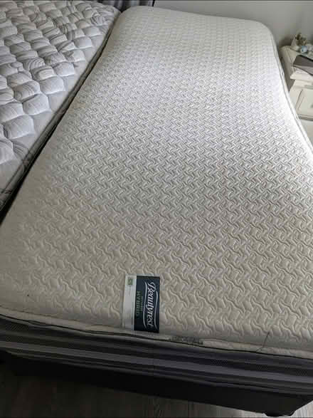 Photo of free Two twin mattresses gentle used (Palm River 33619) #1