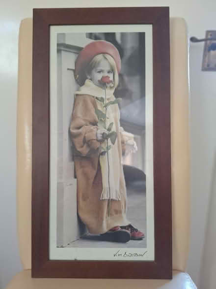 Photo of free Various items (Forestgreen) #1