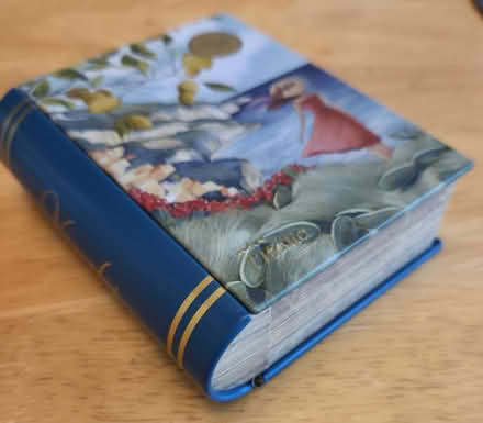 Photo of free Small metal box (Bernardo & Iowa, Sunnyvale) #1