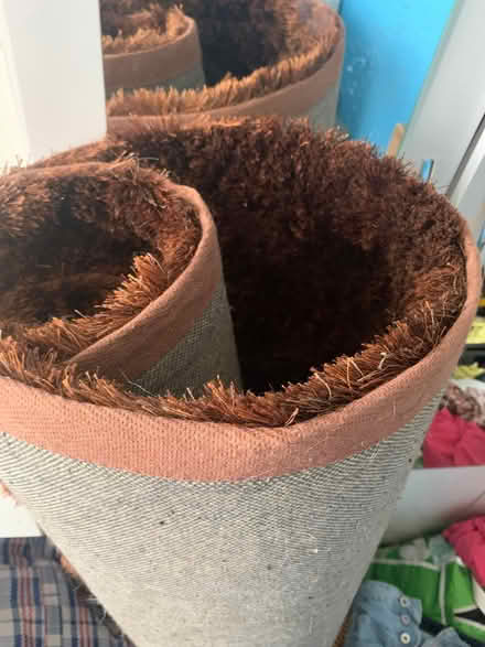 Photo of free Rugs (Caterham on the Hill CR8) #1