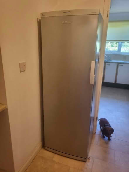 Photo of free Beko frost free freezer (Bexhill TN39... COODEN) #1