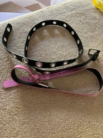 Photo of free Belts (Tunbridge Wells) #1