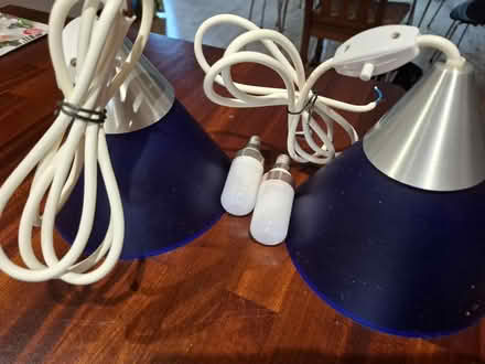 Photo of free 2 blue plastic lightshades (Upper Radley OX14) #1