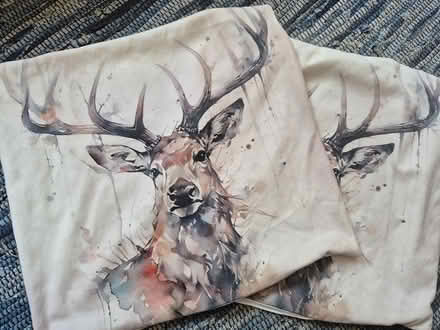 Photo of free X2 cushion covers (Annscroft) #1