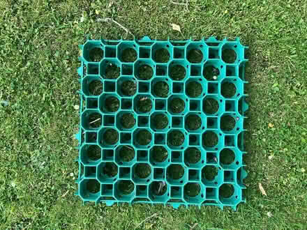 Photo of free Cellular paving grids (eight) (Exeter EX4) #3