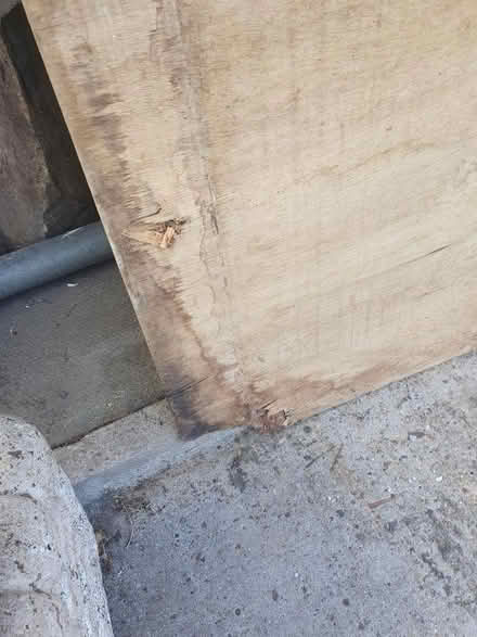 Photo of free 6mm plywood sheet (Enfield EN2) #4