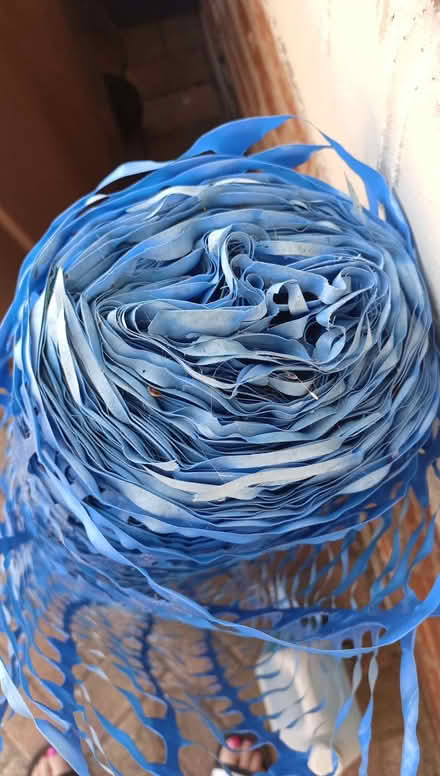 Photo of free Blue plastic barrier net (Manor Top S12) #2
