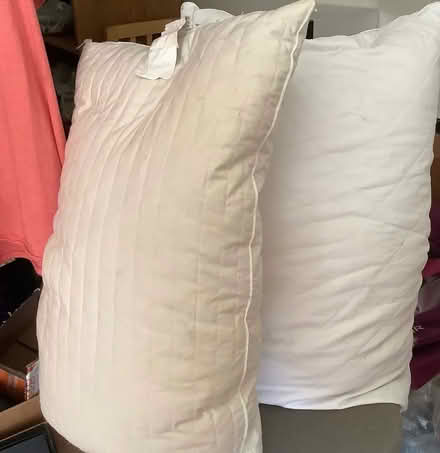 Photo of free 2 Goose Feather Pillows (Palos Park) #1