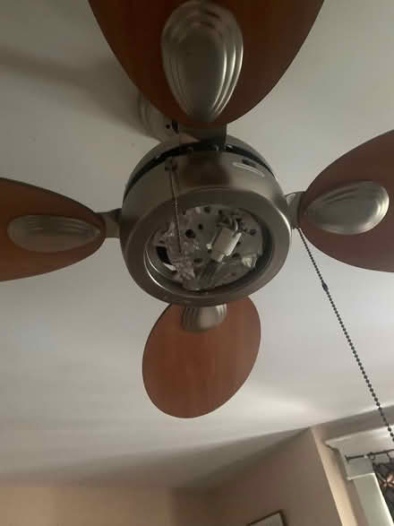 Photo of Ceiling light covers (Delaware & Davenport) #1