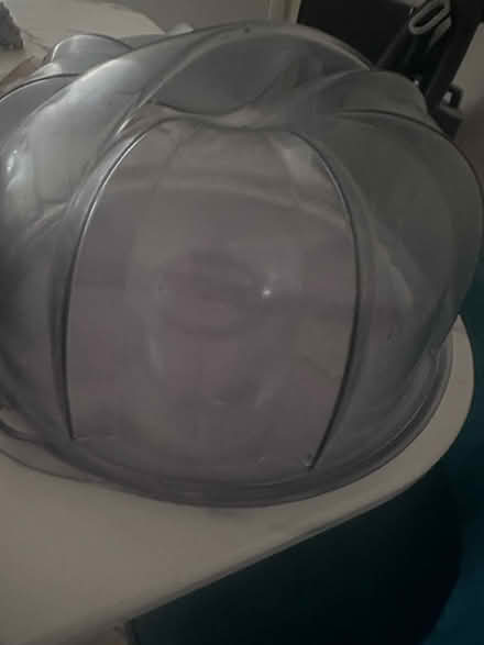 Photo of free Cake dome (Bear) #1