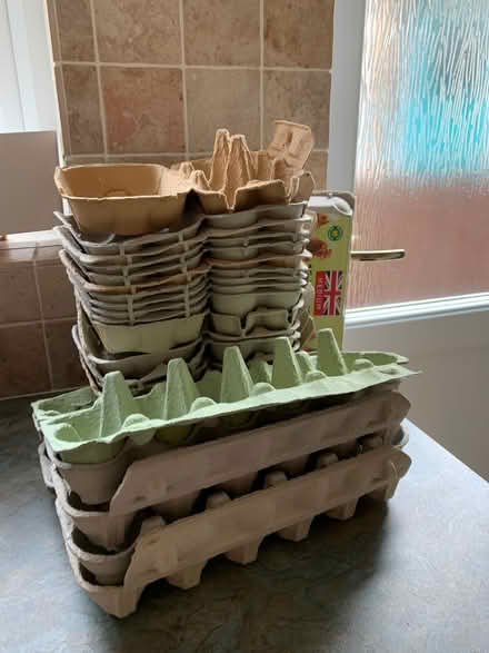 Photo of free Egg boxes (Mount Pleasant SY1) #1