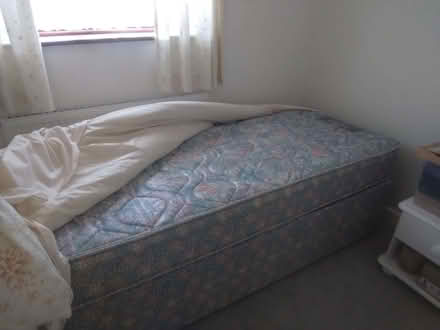 Photo of free Single bed (CT11) #2