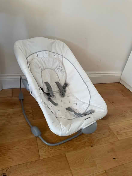 Photo of free Baby bouncer (NorthwoodHills) #1