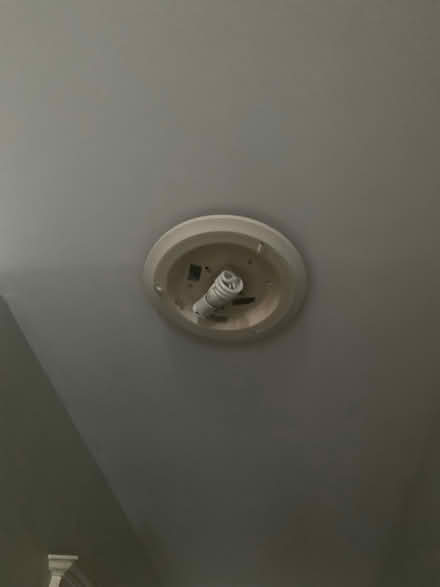 Photo of Ceiling light covers (Delaware & Davenport) #2