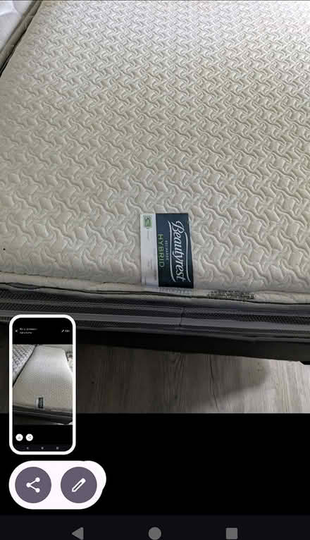 Photo of free Two twin mattresses gentle used (Palm River 33619) #2