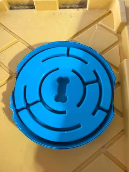 Photo of free Slow feed dog bowl (NE Renton) #2