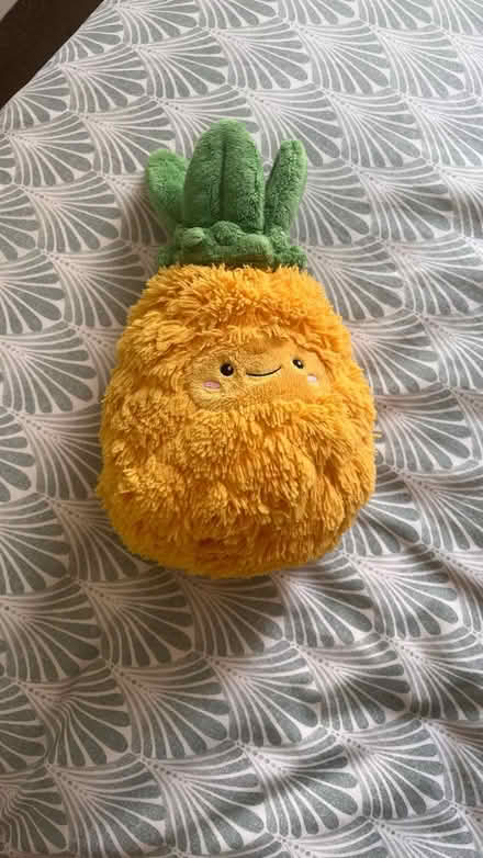 Photo of free Pineapple plus (Highbury N7) #1