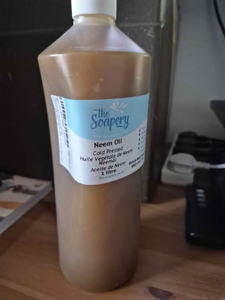 Photo of free Neem Oil (G41, Glasgow) #1