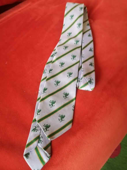 Photo of free Ralph Allen school tie (Bloomfield) #1