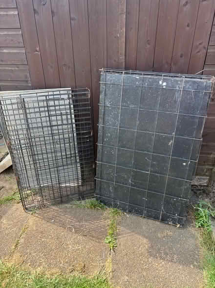 Photo of free Dog crates (Allestree Derby) #1