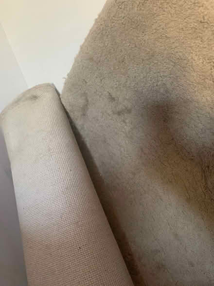 Photo of free Rugs (Caterham on the Hill CR8) #3