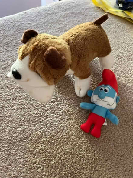 Photo of free 2 teddies (Tunbridge Wells) #1