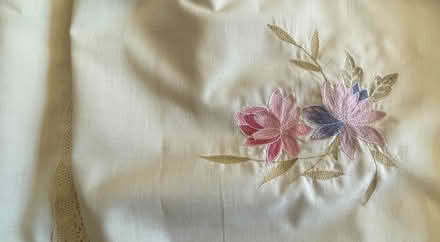 Photo of free Curtains + pole (Seaton EX12) #2