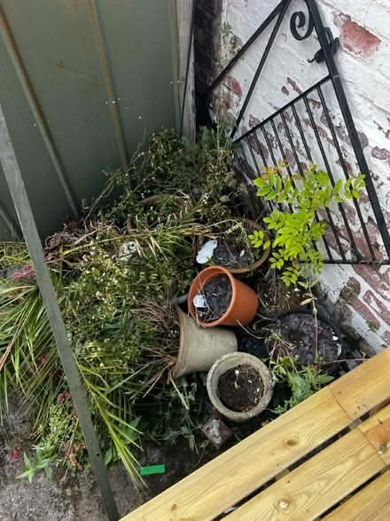 Photo of free Plant pots (Birkenhead) #1