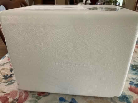 Photo of free Small styrofoam chest (Fernside) #1