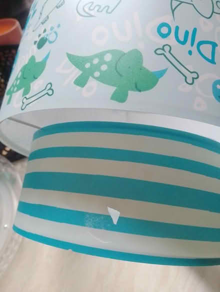 Photo of free Dinosaur light shade (Yorkshire) #3