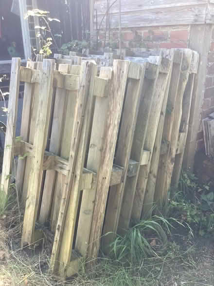 Photo of free Wooden Pallets (Kilmington, Devon EX13) #1