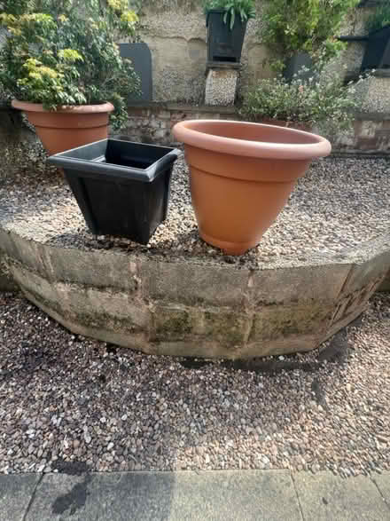 Photo of free Plant pots (BD18) #2
