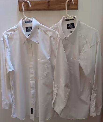 Photo of free dress shirts (N Leverett) #1