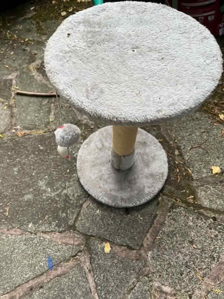 Photo of free Cat scratch post (Upton CH2) #1