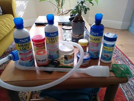 Photo of free Various goldfish supplies (Bishopstoke SO50) #1