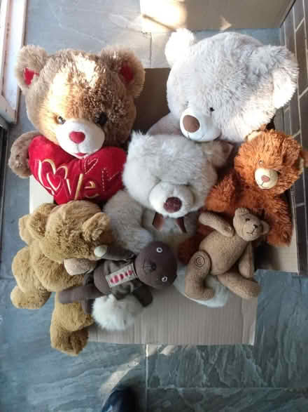 Photo of free Teddy bears (Near Baseline Rd. & Clyde Ave.) #1