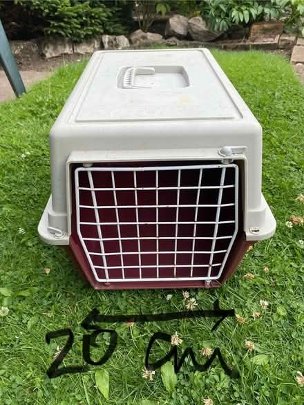 Photo of free Small cat basket (Basford ST5) #2