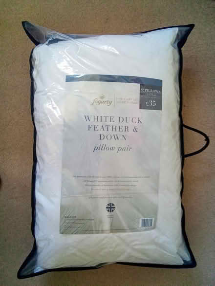 Photo of free Fogarty Pillows (Broadstone BH18) #1