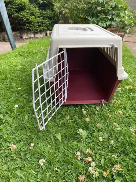 Photo of free Small cat basket (Basford ST5) #1