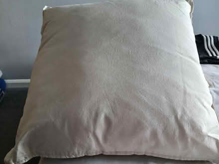 Photo of free Cushions (Belper DE56) #1