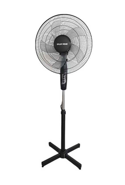 Photo of Fan (Central park road) #1