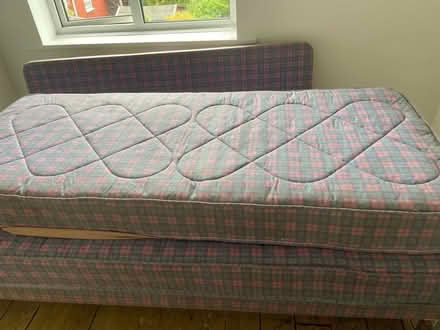 Photo of free Trundel bed (Warrington) #1