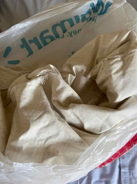 Photo of free down pillow (ratty) (Adams Morgan (20009)) #1
