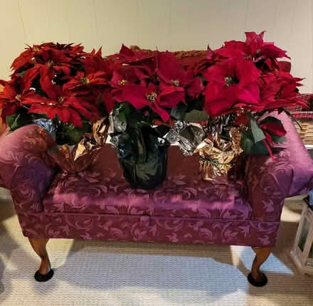 Photo of free 3 Large artificial Poinsettias (Branchburg) #1